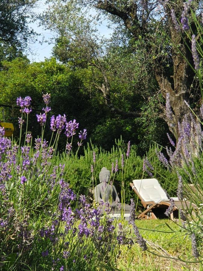 Apartment Picasso In Large Park With Heated Pool Chateauneuf-Grasse ภายนอก รูปภาพ