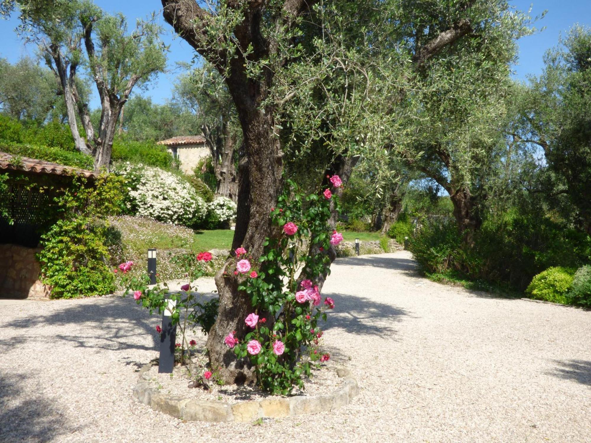 Apartment Picasso In Large Park With Heated Pool Chateauneuf-Grasse ภายนอก รูปภาพ